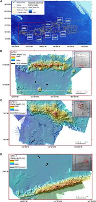 Megafaunal Ecology of the Western Clarion Clipperton Zone